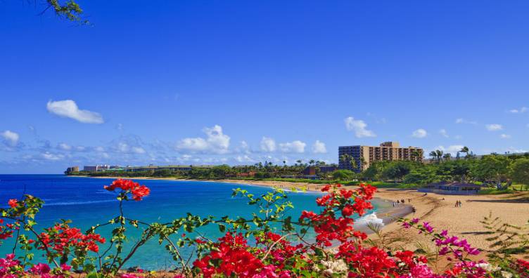 Luxury Hotels in Maui